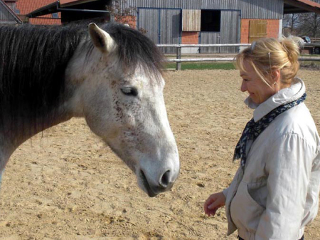 Dagmar Fuchs - Coaching mit Pferden