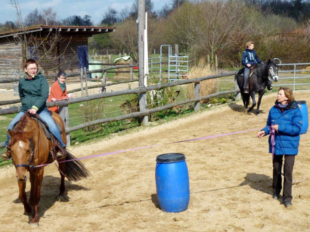 Reiten lernen an der Longe