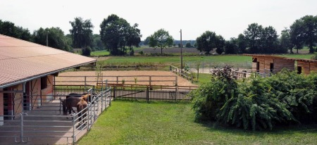 Urlaub Pferdehof Niedersachsen